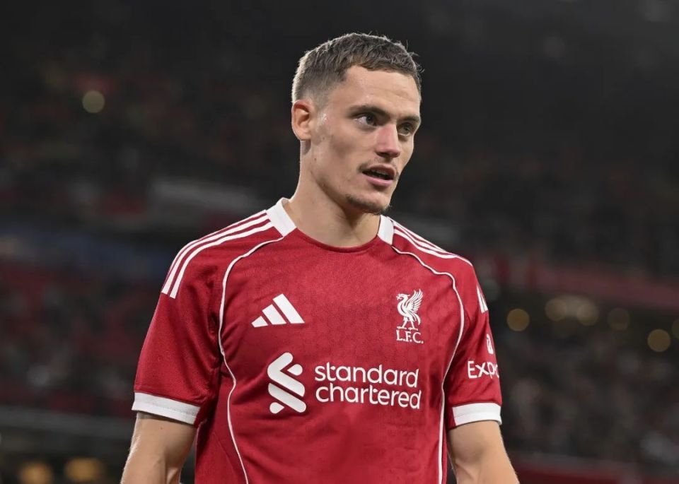 马马尔达什 马马尔达什