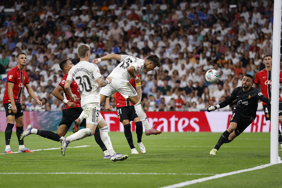 枪手希望居 枪手希望居